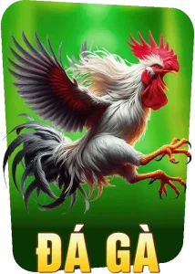 Đá gà ev99